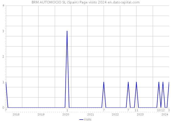 BRM AUTOMOCIO SL (Spain) Page visits 2024 