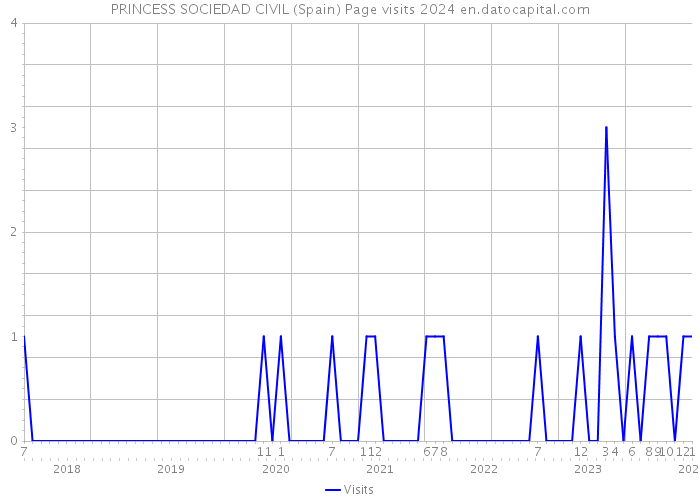 PRINCESS SOCIEDAD CIVIL (Spain) Page visits 2024 