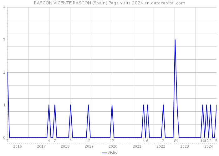 RASCON VICENTE RASCON (Spain) Page visits 2024 