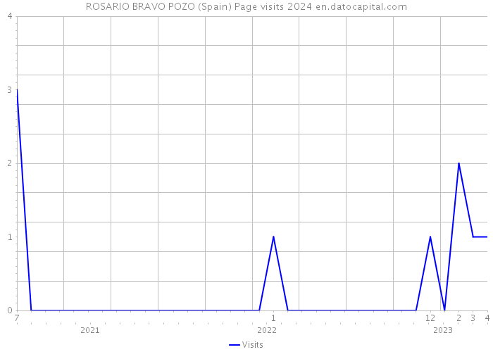 ROSARIO BRAVO POZO (Spain) Page visits 2024 