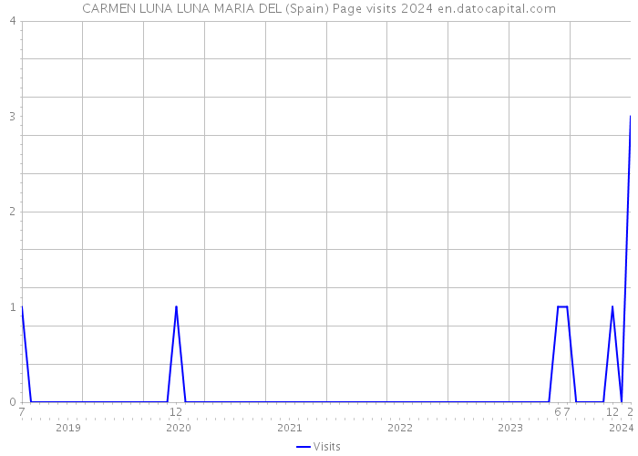CARMEN LUNA LUNA MARIA DEL (Spain) Page visits 2024 