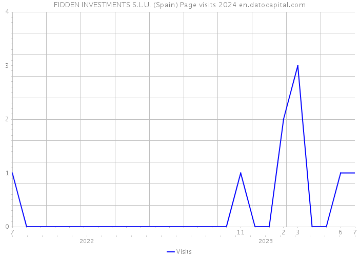 FIDDEN INVESTMENTS S.L.U. (Spain) Page visits 2024 