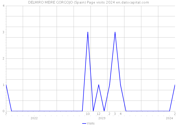 DELMIRO MEIRE GORGOJO (Spain) Page visits 2024 