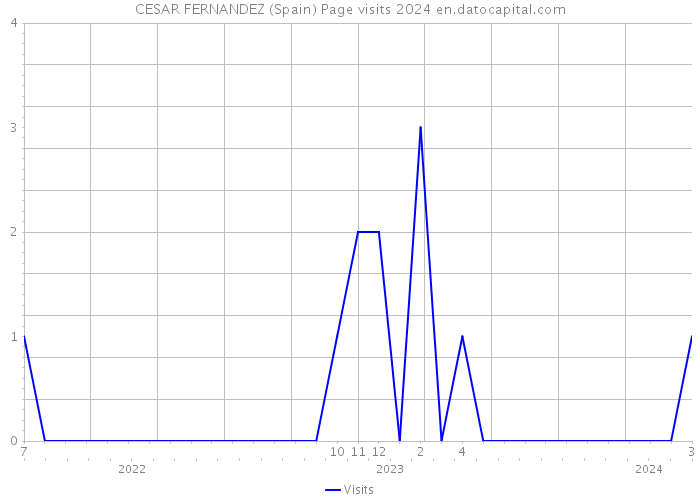 CESAR FERNANDEZ (Spain) Page visits 2024 
