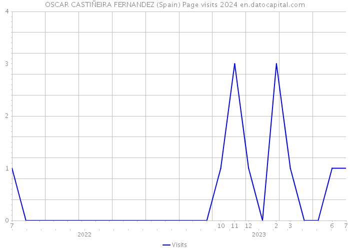 OSCAR CASTIÑEIRA FERNANDEZ (Spain) Page visits 2024 