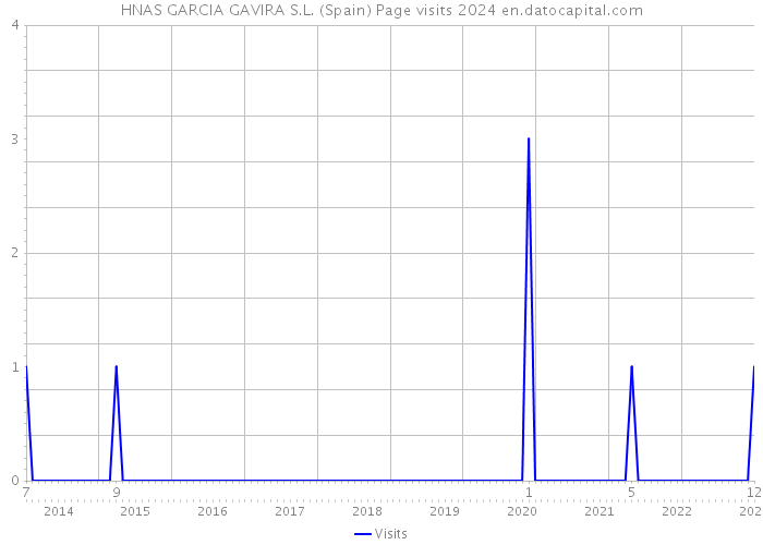 HNAS GARCIA GAVIRA S.L. (Spain) Page visits 2024 
