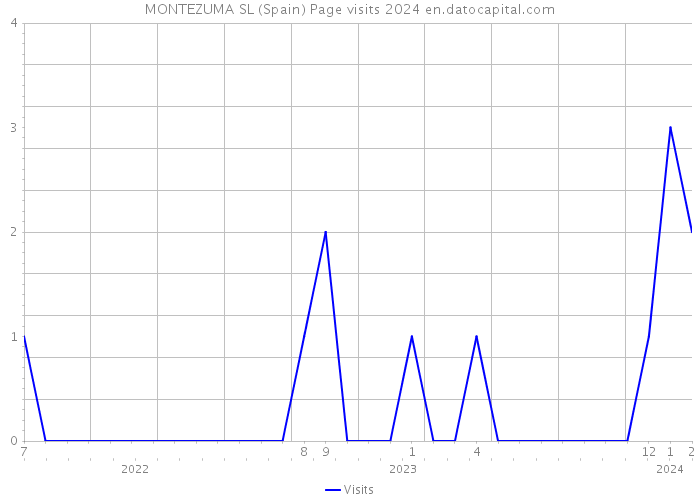 MONTEZUMA SL (Spain) Page visits 2024 