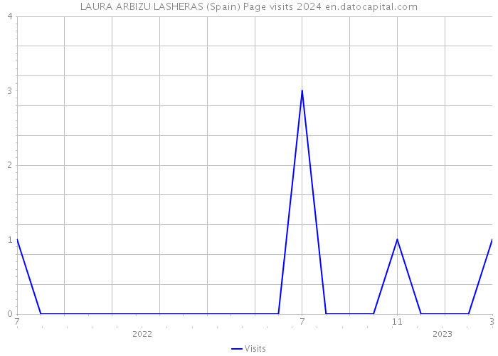 LAURA ARBIZU LASHERAS (Spain) Page visits 2024 