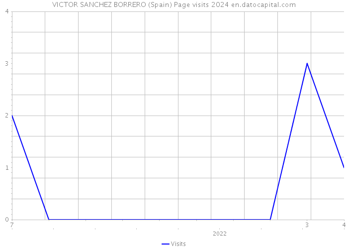 VICTOR SANCHEZ BORRERO (Spain) Page visits 2024 