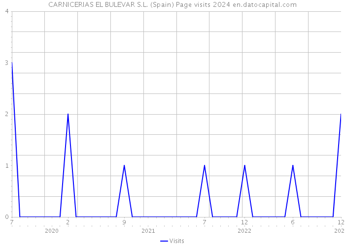 CARNICERIAS EL BULEVAR S.L. (Spain) Page visits 2024 
