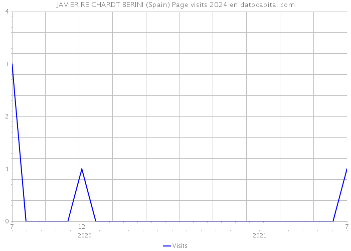 JAVIER REICHARDT BERINI (Spain) Page visits 2024 