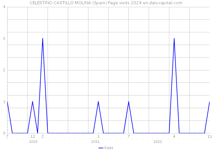 CELESTINO CASTILLO MOLINA (Spain) Page visits 2024 