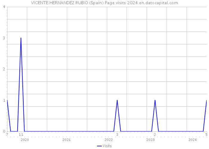 VICENTE HERNANDEZ RUBIO (Spain) Page visits 2024 