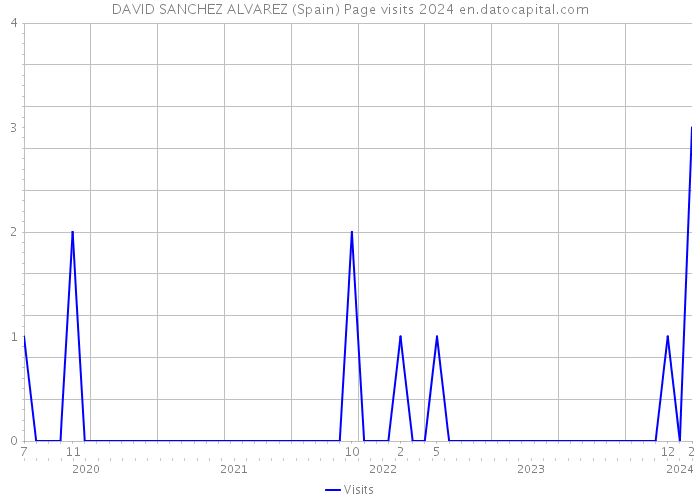 DAVID SANCHEZ ALVAREZ (Spain) Page visits 2024 