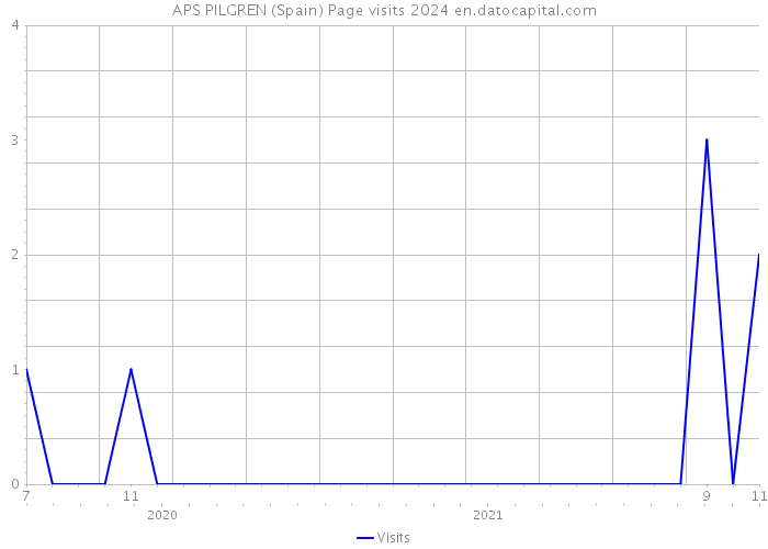 APS PILGREN (Spain) Page visits 2024 