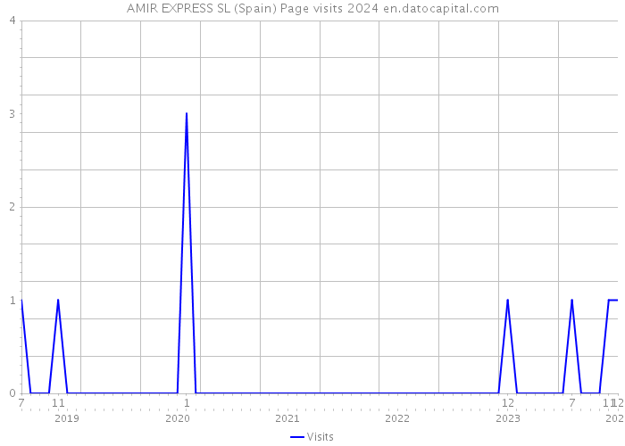 AMIR EXPRESS SL (Spain) Page visits 2024 