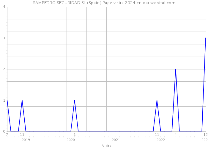SAMPEDRO SEGURIDAD SL (Spain) Page visits 2024 