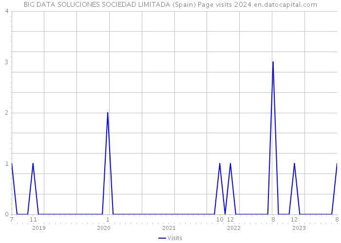BIG DATA SOLUCIONES SOCIEDAD LIMITADA (Spain) Page visits 2024 
