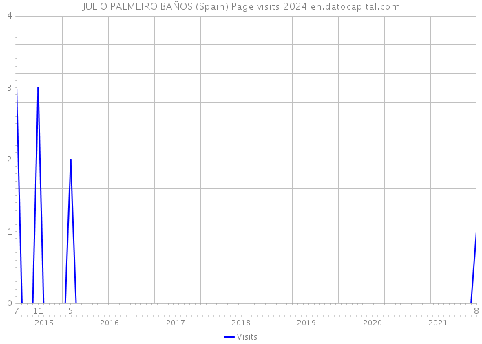 JULIO PALMEIRO BAÑOS (Spain) Page visits 2024 