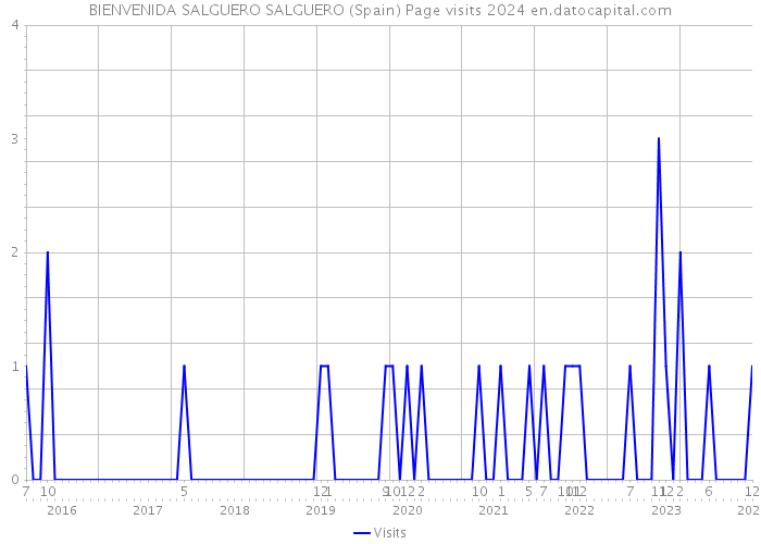 BIENVENIDA SALGUERO SALGUERO (Spain) Page visits 2024 