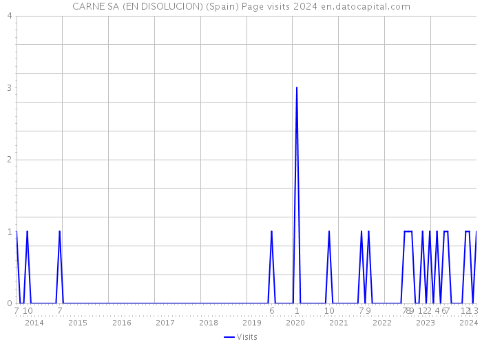 CARNE SA (EN DISOLUCION) (Spain) Page visits 2024 