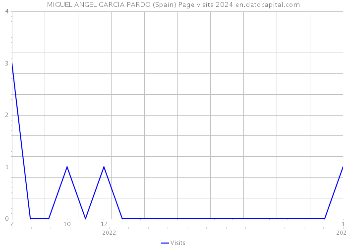MIGUEL ANGEL GARCIA PARDO (Spain) Page visits 2024 