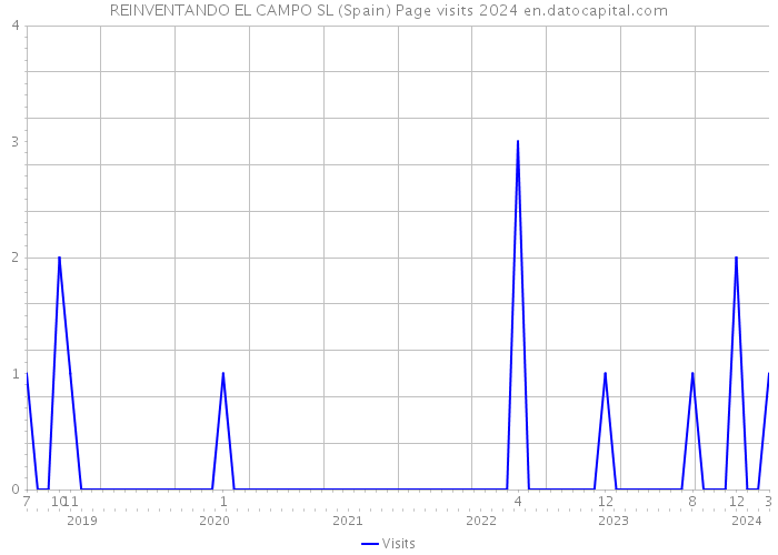 REINVENTANDO EL CAMPO SL (Spain) Page visits 2024 