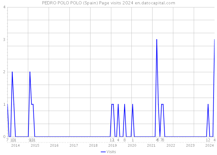 PEDRO POLO POLO (Spain) Page visits 2024 