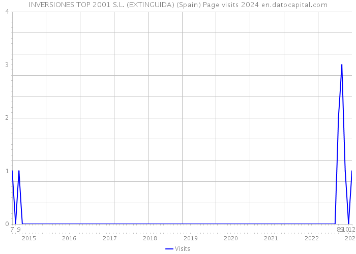 INVERSIONES TOP 2001 S.L. (EXTINGUIDA) (Spain) Page visits 2024 