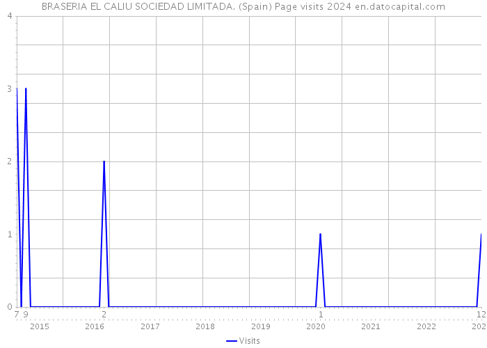 BRASERIA EL CALIU SOCIEDAD LIMITADA. (Spain) Page visits 2024 