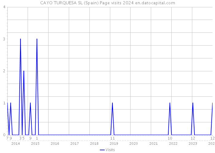 CAYO TURQUESA SL (Spain) Page visits 2024 