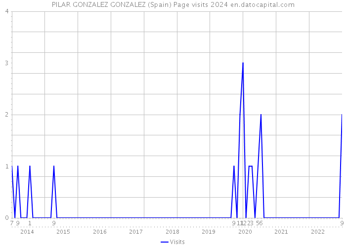 PILAR GONZALEZ GONZALEZ (Spain) Page visits 2024 
