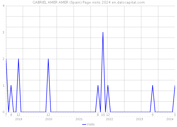 GABRIEL AMER AMER (Spain) Page visits 2024 
