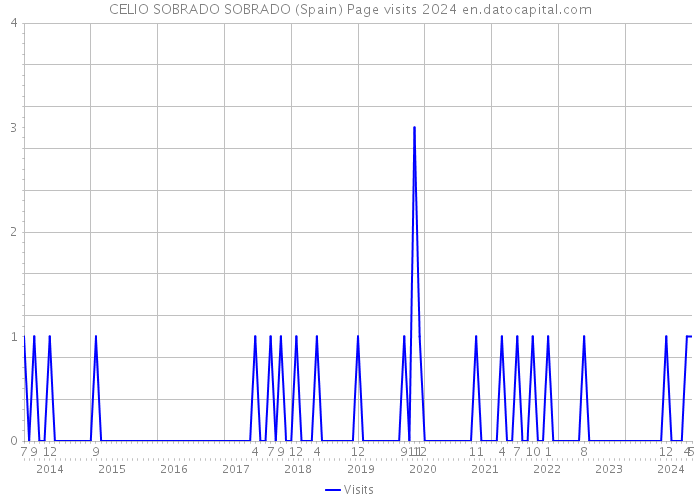 CELIO SOBRADO SOBRADO (Spain) Page visits 2024 