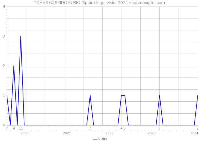 TOMAS GARRIDO RUBIO (Spain) Page visits 2024 