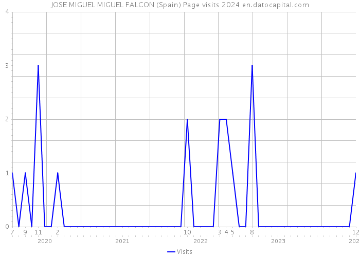 JOSE MIGUEL MIGUEL FALCON (Spain) Page visits 2024 