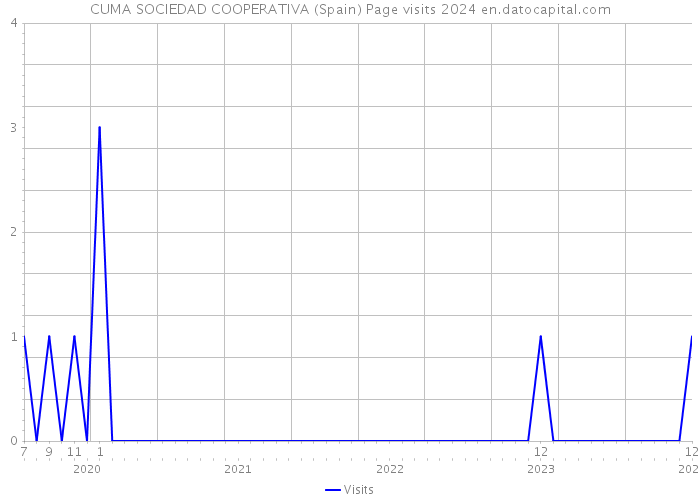 CUMA SOCIEDAD COOPERATIVA (Spain) Page visits 2024 