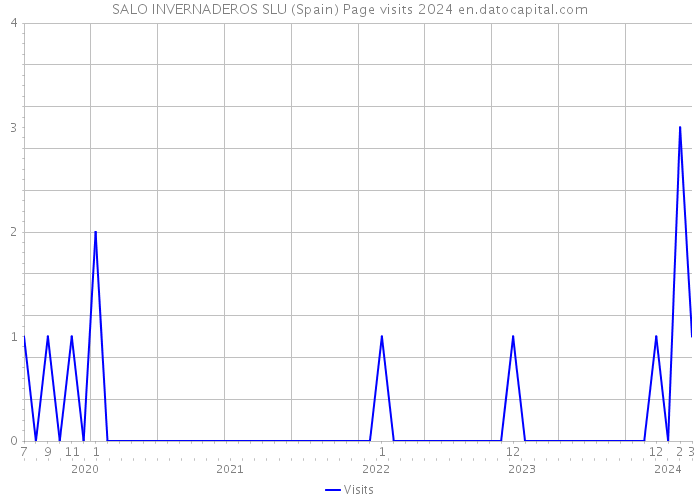 SALO INVERNADEROS SLU (Spain) Page visits 2024 