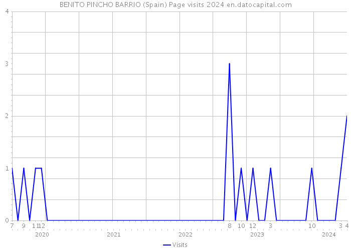 BENITO PINCHO BARRIO (Spain) Page visits 2024 
