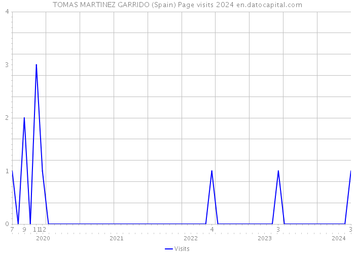 TOMAS MARTINEZ GARRIDO (Spain) Page visits 2024 