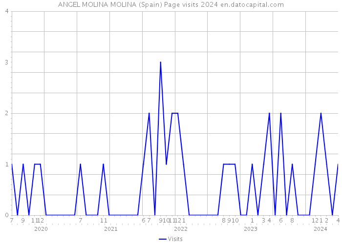 ANGEL MOLINA MOLINA (Spain) Page visits 2024 