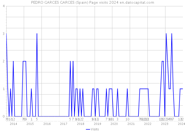PEDRO GARCES GARCES (Spain) Page visits 2024 