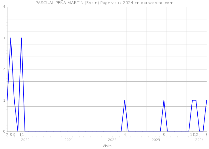 PASCUAL PEÑA MARTIN (Spain) Page visits 2024 