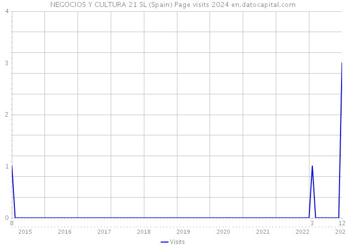 NEGOCIOS Y CULTURA 21 SL (Spain) Page visits 2024 