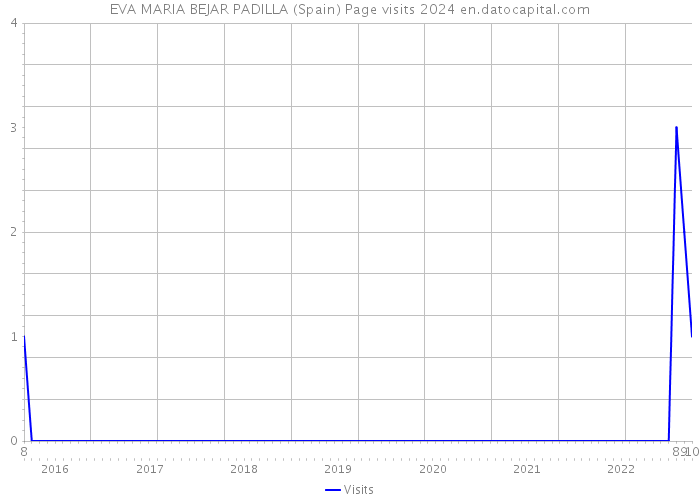 EVA MARIA BEJAR PADILLA (Spain) Page visits 2024 