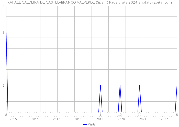 RAFAEL CALDEIRA DE CASTEL-BRANCO VALVERDE (Spain) Page visits 2024 