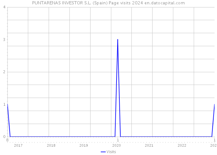 PUNTARENAS INVESTOR S.L. (Spain) Page visits 2024 
