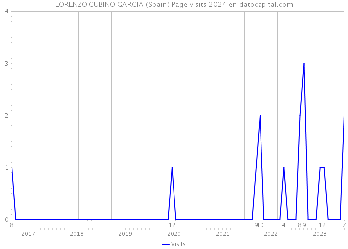 LORENZO CUBINO GARCIA (Spain) Page visits 2024 