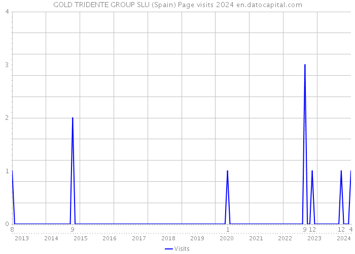 GOLD TRIDENTE GROUP SLU (Spain) Page visits 2024 