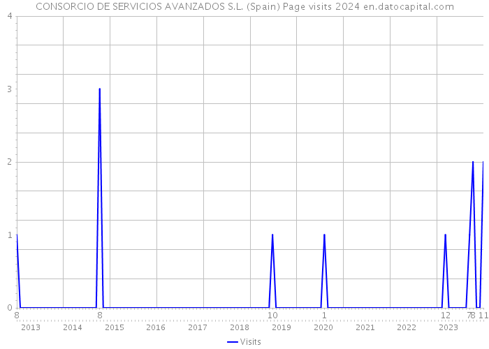 CONSORCIO DE SERVICIOS AVANZADOS S.L. (Spain) Page visits 2024 